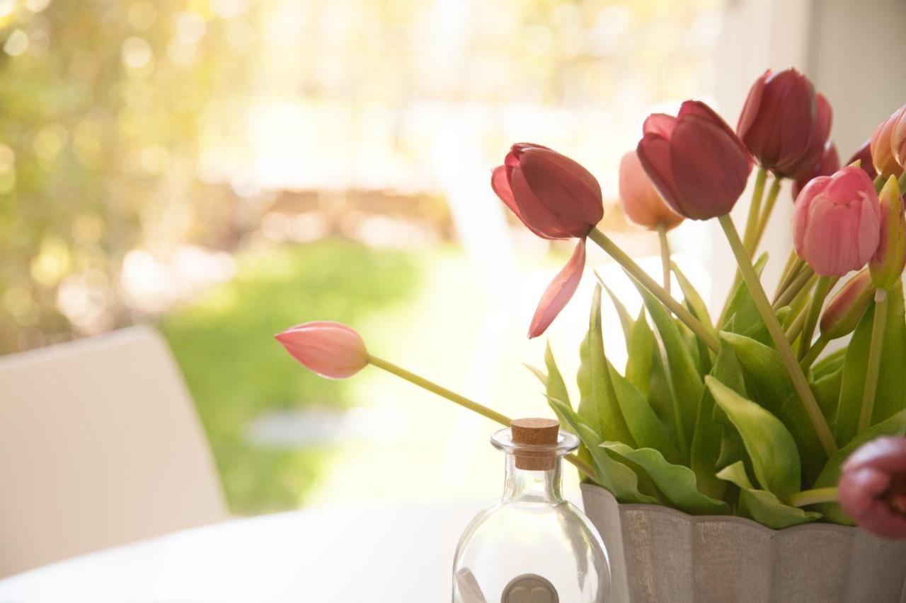 La Casa Di Gio Apartment กาออร์เล ภายนอก รูปภาพ